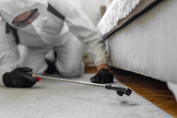 Professional Termite Control technician working in Dilley, TX